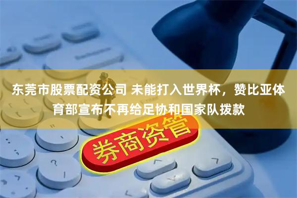 东莞市股票配资公司 未能打入世界杯，赞比亚体育部宣布不再给足协和国家队拨款