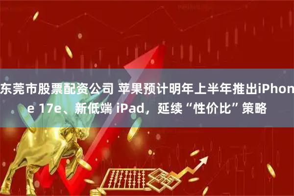 东莞市股票配资公司 苹果预计明年上半年推出iPhone 17e、新低端 iPad，延续“性价比”策略